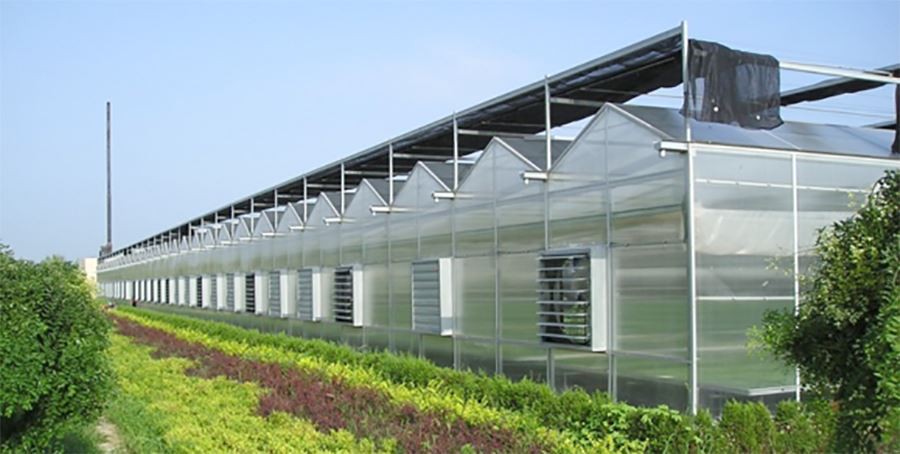 clear polythene sheeting for greenhouse manufacture
