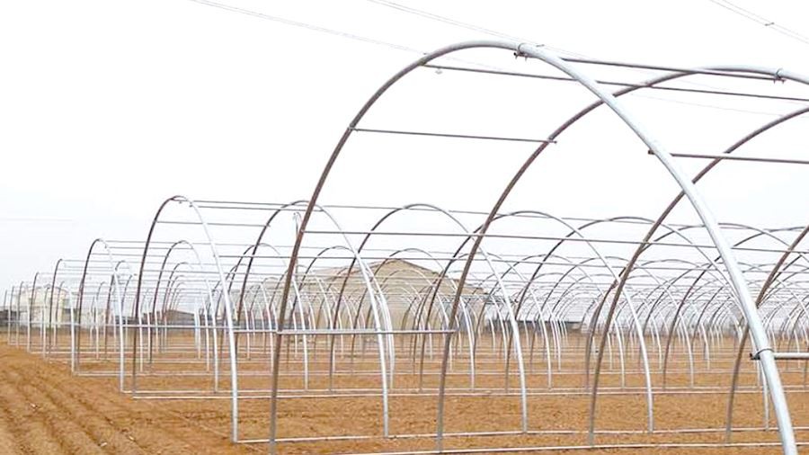 8mm pc hollow sheet small greenhouse for home use factory