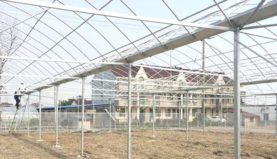8mm pc hollow sheet small greenhouse for home use supplier
