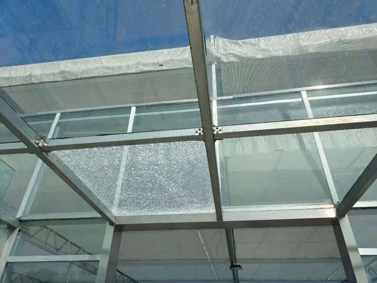 Glass Greenhouse Project Glass Greenhouse Project