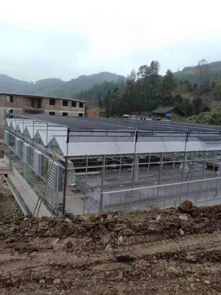 The role of the multi-span greenhouse The role of the multi-span greenhouse