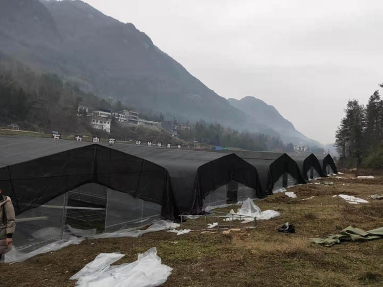 Greenhouse engineering is a greenhouse with glass as the main light-transmitting covering material