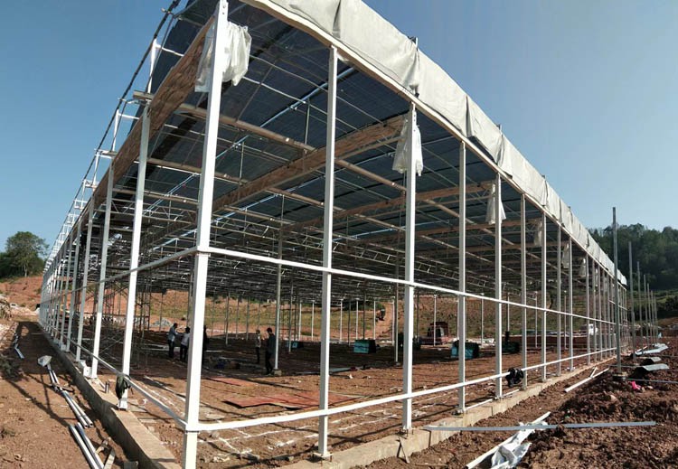 Flexible watering while watching the sky during the construction of a solar greenhouse with columns Flexible watering while watching the sky during the construction of a solar greenhouse with columns