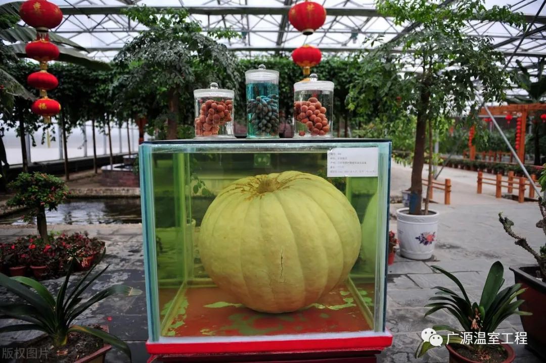 info-1080-719 info-1080-719