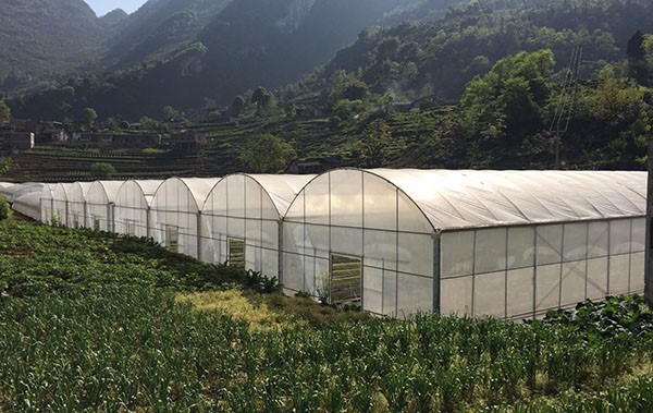 info-600-379 info-600-379