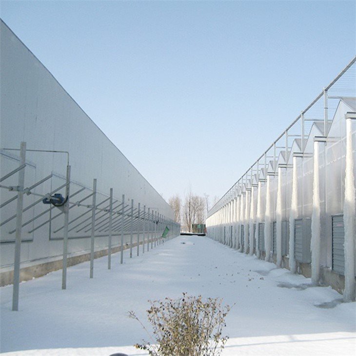 8mm pc hollow sheet small greenhouse for home use supplier