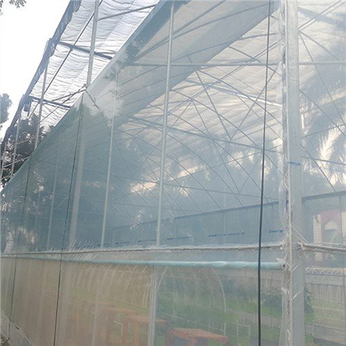 แผ่นพลาสติกใส 6 ล้านแผ่นสำหรับเรือนกระจก
