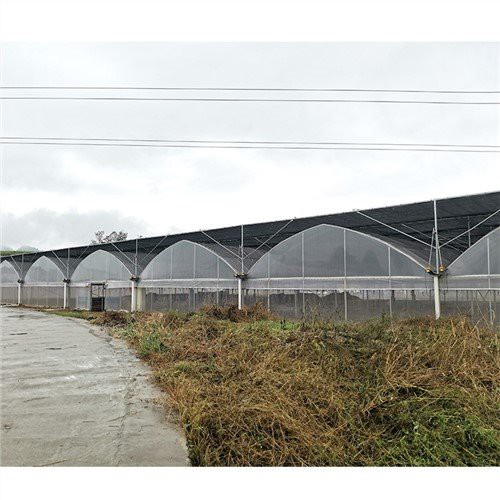 Homebase Plastic Greenhouse ครอบคลุม