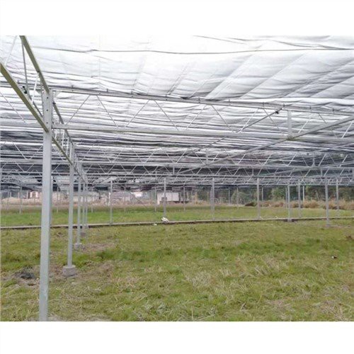เรือนกระจก Polythene ขนาดเล็ก